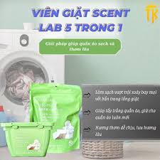 ĐỒ GIA DỤNG (NƯỚC GIẶT, NƯỚC XẢ VẢI,...)